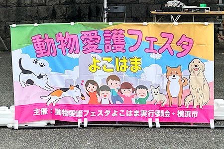 ưʪե褳Ϥ