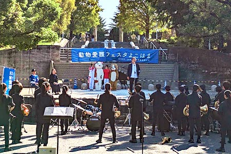 ưʪ����ե������褳�Ϥ�